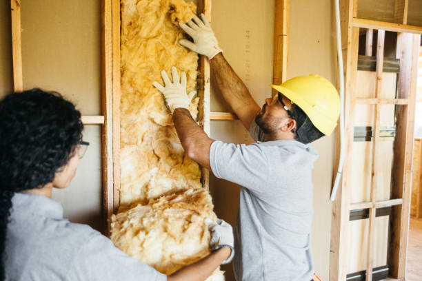 Types of Insulation We Offer in Lucasville, OH