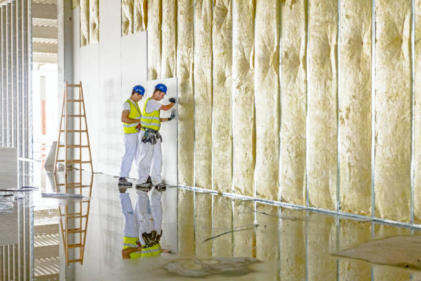 Professional Insulation in Lucasville, OH